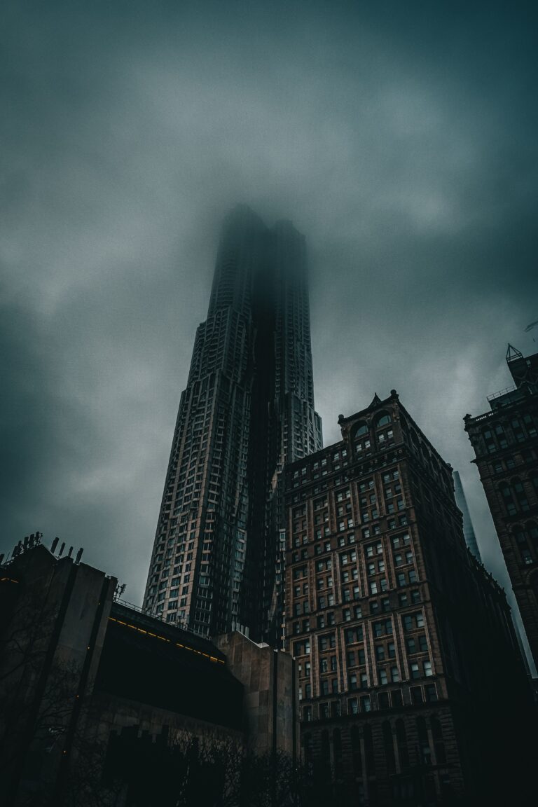 pexels-photo-12167680-12167680
