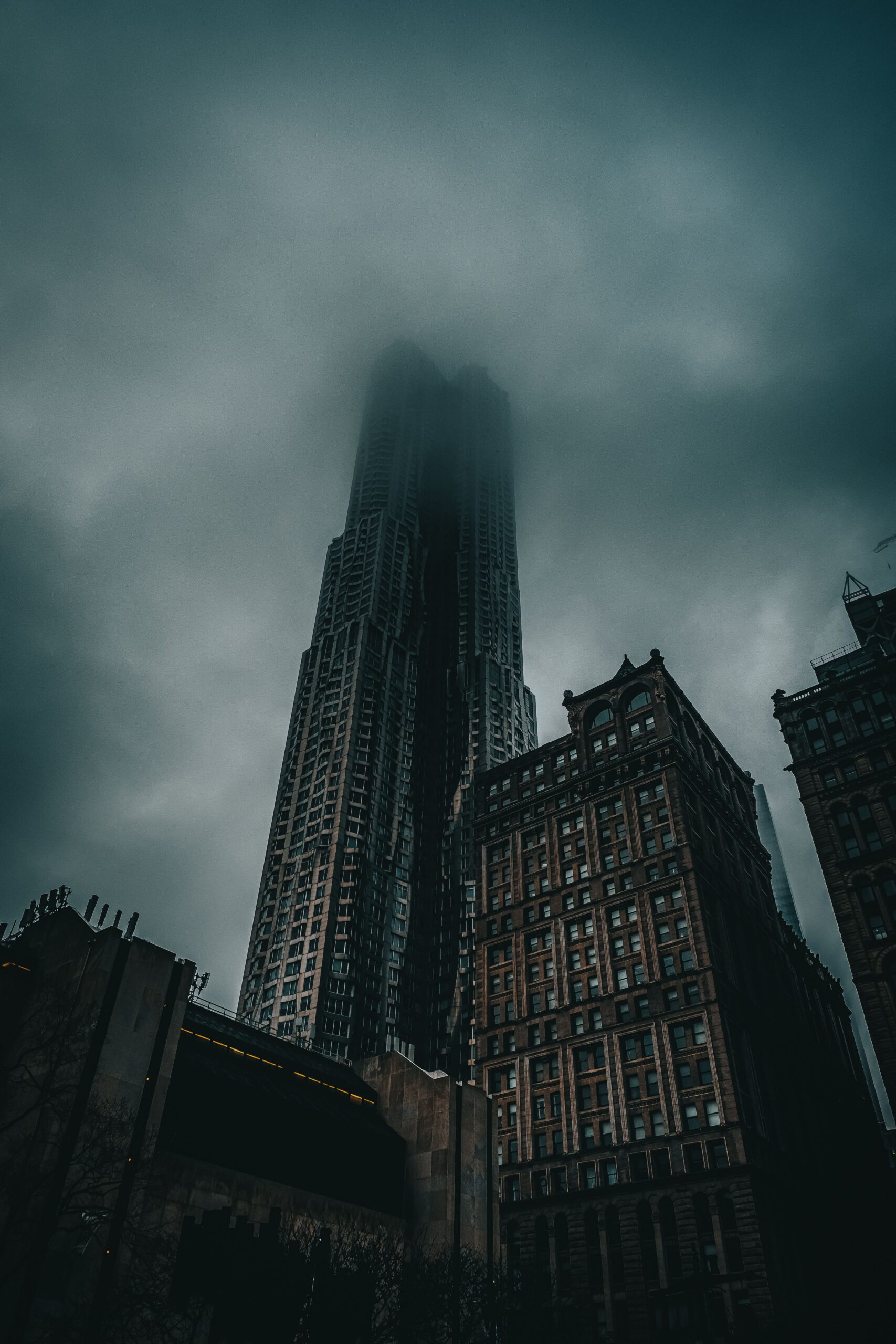 pexels-photo-12167680-12167680